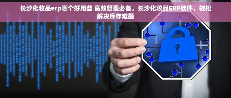 长沙化妆品erp哪个好用些 高效管理必备，长沙化妆品ERP软件，轻松解决库存难题