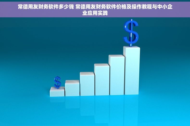 常德用友财务软件多少钱 常德用友财务软件价格及操作教程与中小企业应用实践