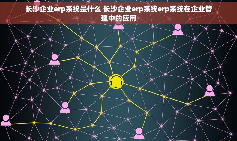 长沙企业erp系统是什么 长沙企业erp系统erp系统在企业管理中的应用