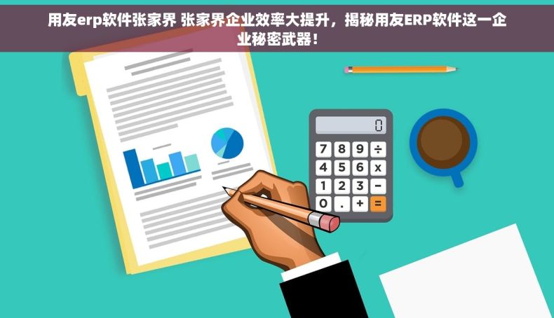 用友erp软件张家界 张家界企业效率大提升，揭秘用友ERP软件这一企业秘密武器！
