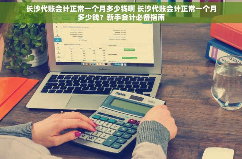 长沙代账会计正常一个月多少钱啊 长沙代账会计正常一个月多少钱？新手会计必备指南