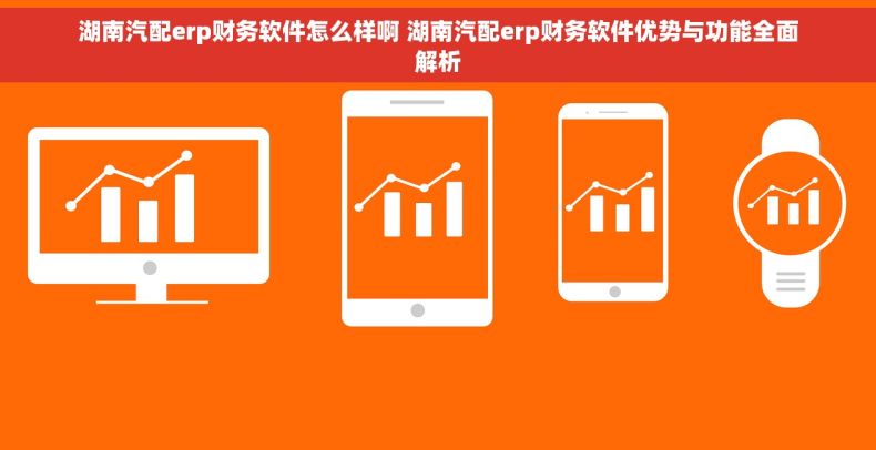 湖南汽配erp财务软件怎么样啊 湖南汽配erp财务软件优势与功能全面解析