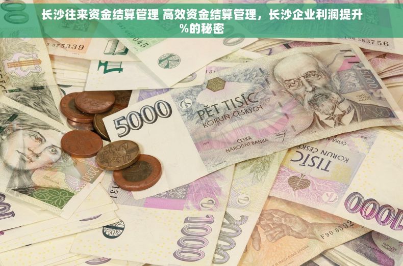 长沙往来资金结算管理 高效资金结算管理，长沙企业利润提升%的秘密