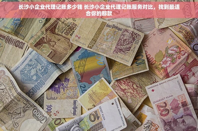 长沙小企业代理记账多少钱 长沙小企业代理记账服务对比，找到最适合你的那款