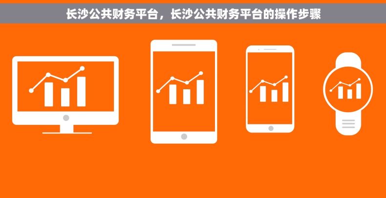 长沙公共财务平台，长沙公共财务平台的操作步骤