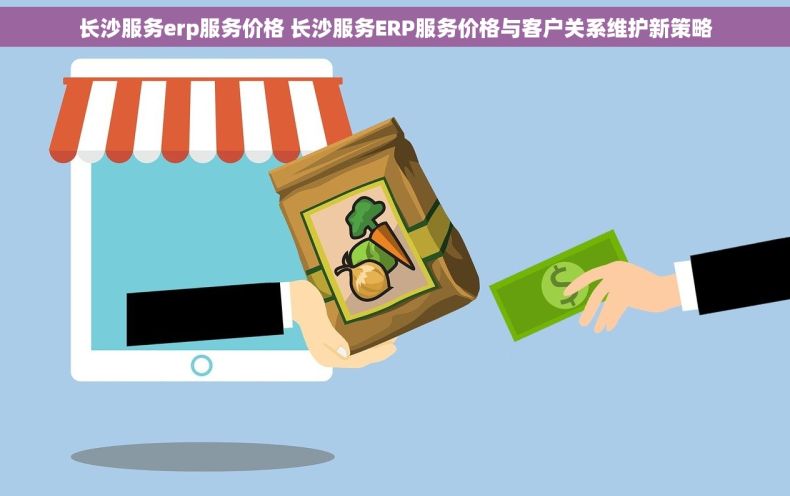 长沙服务erp服务价格 长沙服务ERP服务价格与客户关系维护新策略