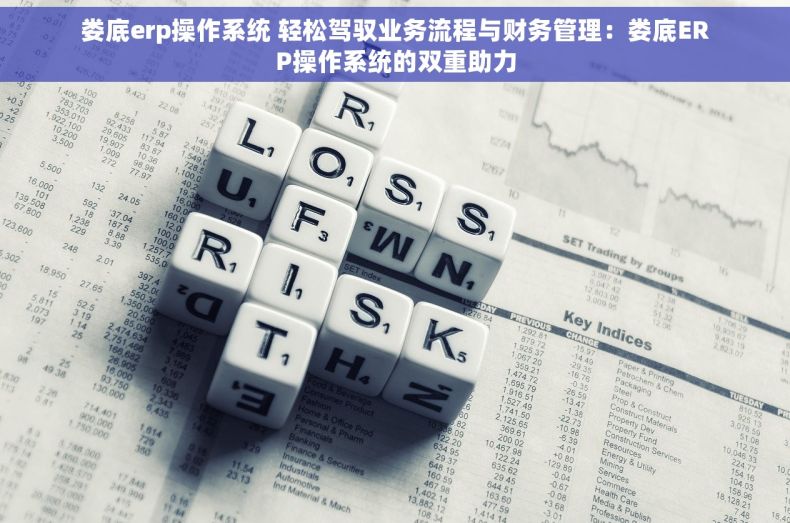 娄底erp操作系统 轻松驾驭业务流程与财务管理：娄底ERP操作系统的双重助力