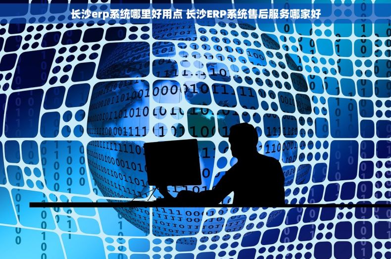 长沙erp系统哪里好用点 长沙ERP系统售后服务哪家好