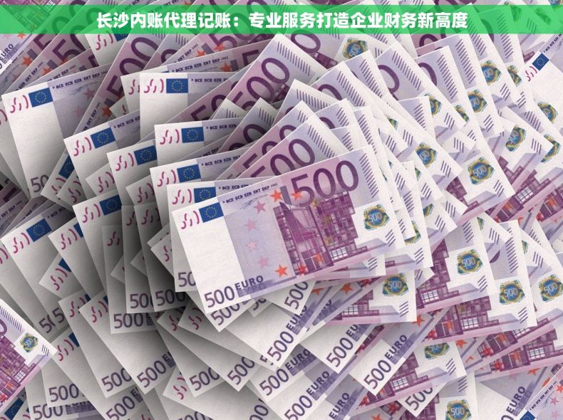 长沙内账代理记账：专业服务打造企业财务新高度