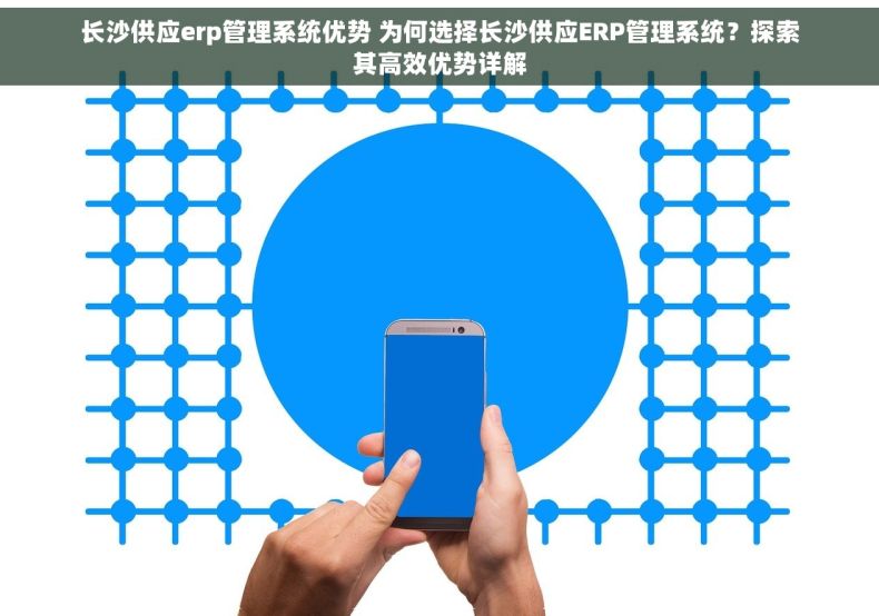 长沙供应erp管理系统优势 为何选择长沙供应ERP管理系统？探索其高效优势详解