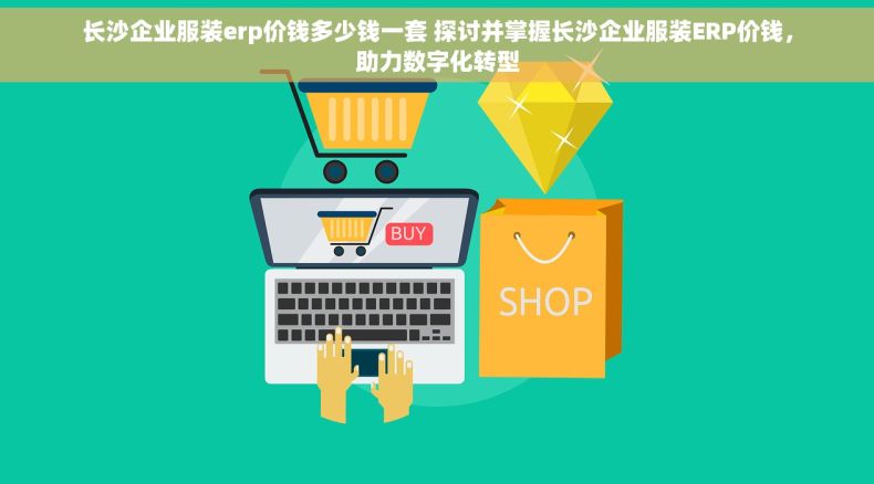 长沙企业服装erp价钱多少钱一套 探讨并掌握长沙企业服装ERP价钱，助力数字化转型