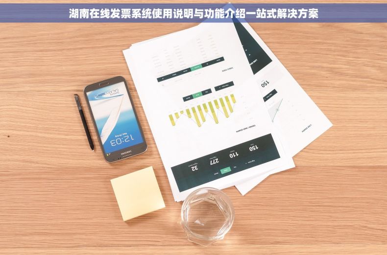 湖南在线发票系统使用说明与功能介绍一站式解决方案