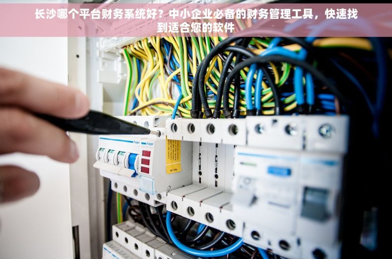 长沙哪个平台财务系统好？中小企业必备的财务管理工具，快速找到适合您的软件