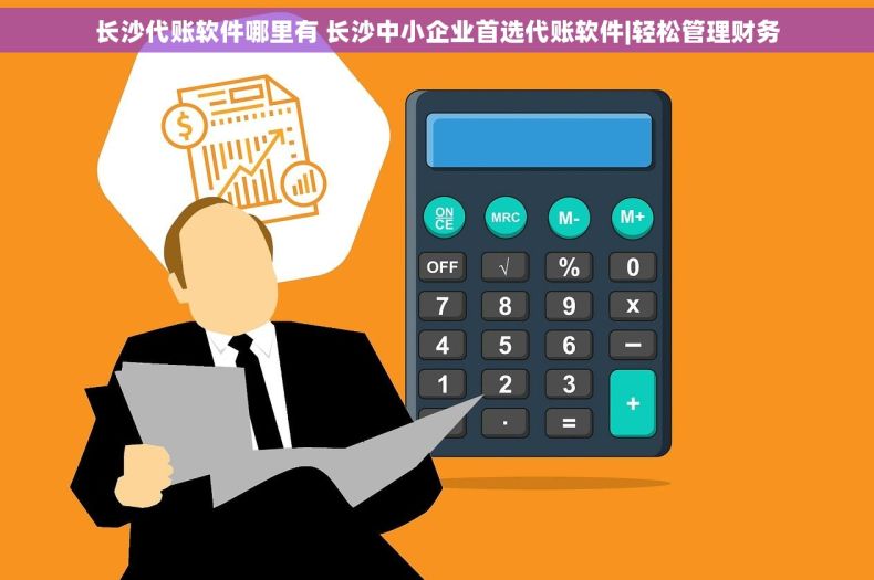 长沙代账软件哪里有 长沙中小企业首选代账软件|轻松管理财务