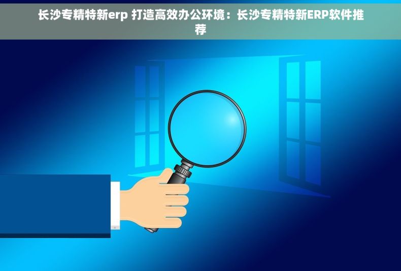 长沙专精特新erp 打造高效办公环境：长沙专精特新ERP软件推荐