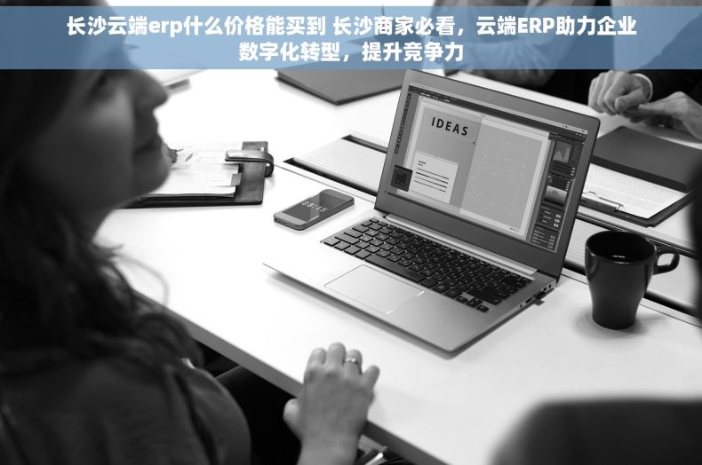 长沙云端erp什么价格能买到 长沙商家必看，云端ERP助力企业数字化转型，提升竞争力