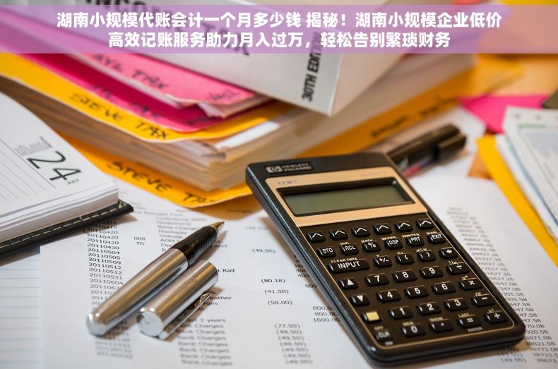 湖南小规模代账会计一个月多少钱 揭秘！湖南小规模企业低价高效记账服务助力月入过万，轻松告别繁琐财务