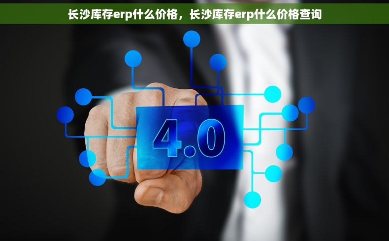 长沙库存erp什么价格，长沙库存erp什么价格查询