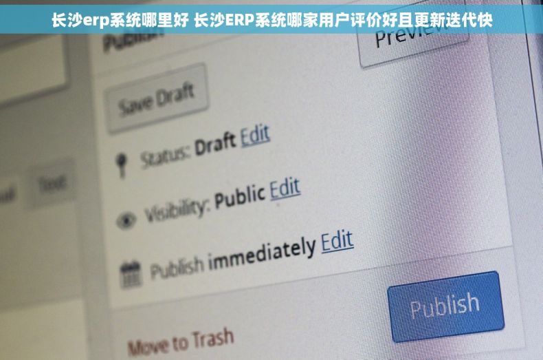 长沙erp系统哪里好 长沙ERP系统哪家用户评价好且更新迭代快
