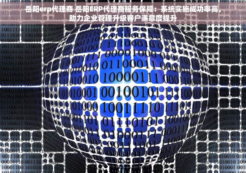 岳阳erp代理商 岳阳ERP代理商服务保障：系统实施成功率高，助力企业管理升级客户满意度提升