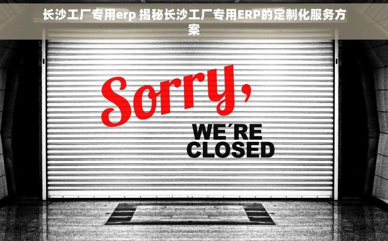长沙工厂专用erp 揭秘长沙工厂专用ERP的定制化服务方案