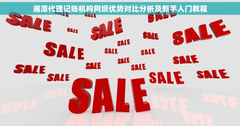 湘潭代理记账机构阿坝优势对比分析及新手入门教程