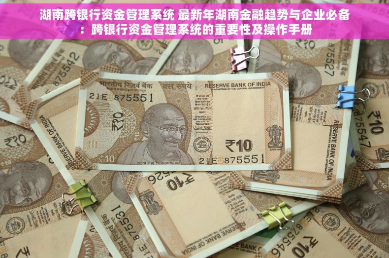 湖南跨银行资金管理系统 最新年湖南金融趋势与企业必备：跨银行资金管理系统的重要性及操作手册