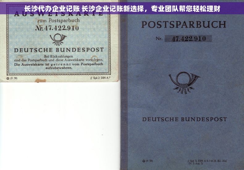 长沙代办企业记账 长沙企业记账新选择，专业团队帮您轻松理财