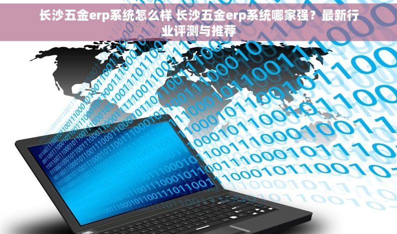 长沙五金erp系统怎么样 长沙五金erp系统哪家强？最新行业评测与推荐