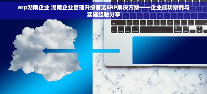 erp湖南企业 湖南企业管理升级首选ERP解决方案——企业成功案例与实施经验分享
