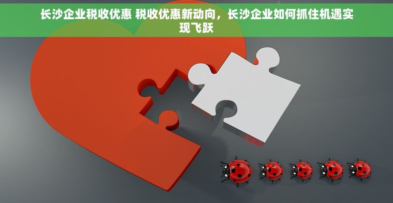 长沙企业税收优惠 税收优惠新动向，长沙企业如何抓住机遇实现飞跃