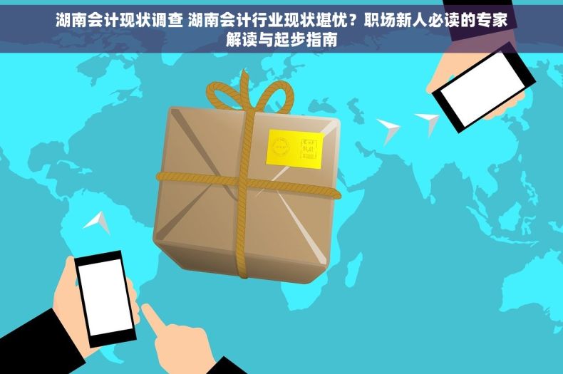 湖南会计现状调查 湖南会计行业现状堪忧？职场新人必读的专家解读与起步指南