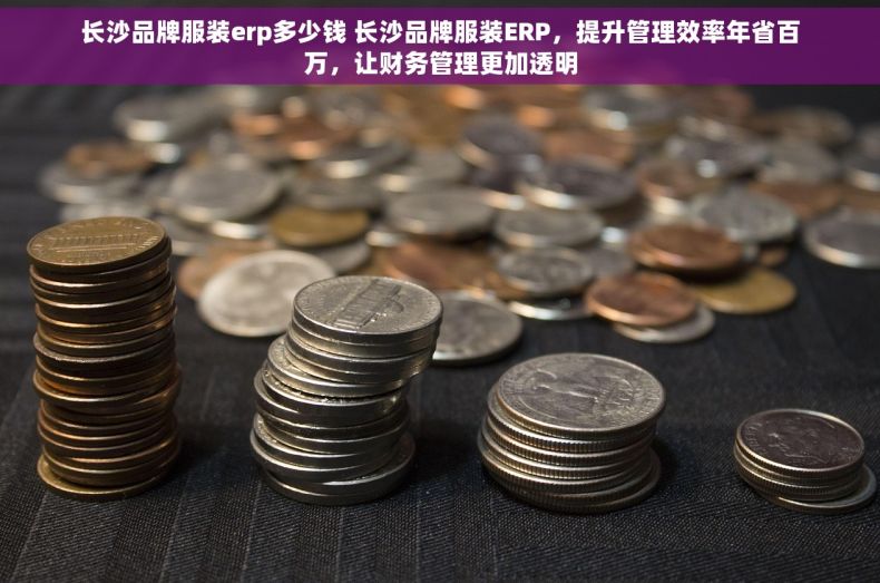 长沙品牌服装erp多少钱 长沙品牌服装ERP，提升管理效率年省百万，让财务管理更加透明