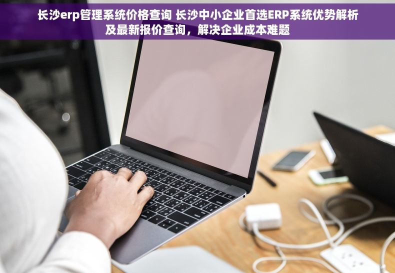 长沙erp管理系统价格查询 长沙中小企业首选ERP系统优势解析及最新报价查询，解决企业成本难题
