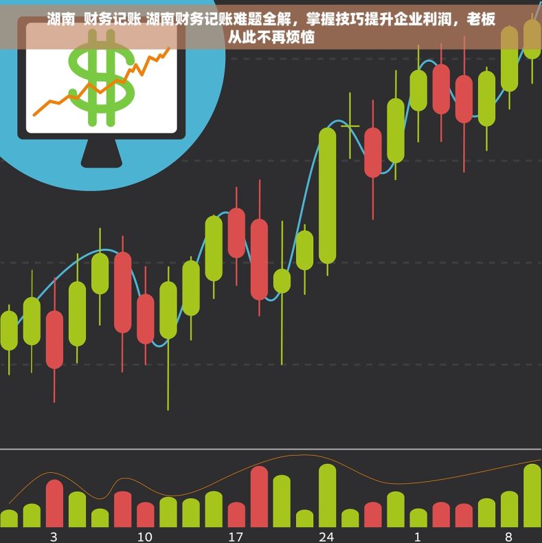 湖南  财务记账 湖南财务记账难题全解，掌握技巧提升企业利润，老板从此不再烦恼