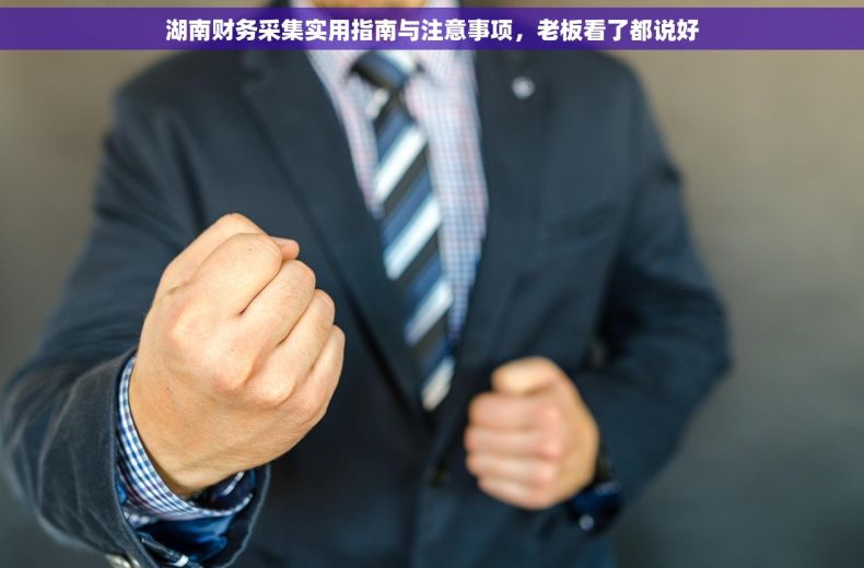 湖南财务采集实用指南与注意事项，老板看了都说好