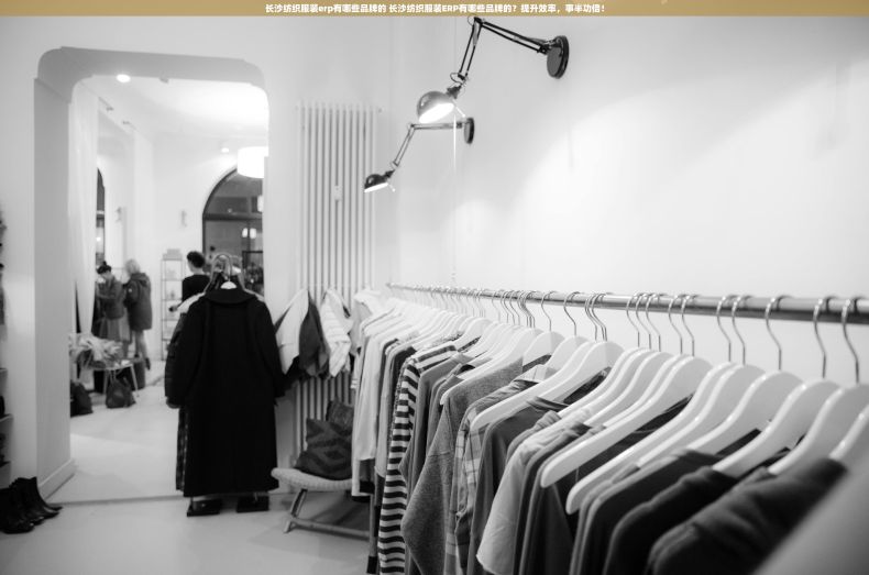 长沙纺织服装erp有哪些品牌的 长沙纺织服装ERP有哪些品牌的？提升效率，事半功倍！