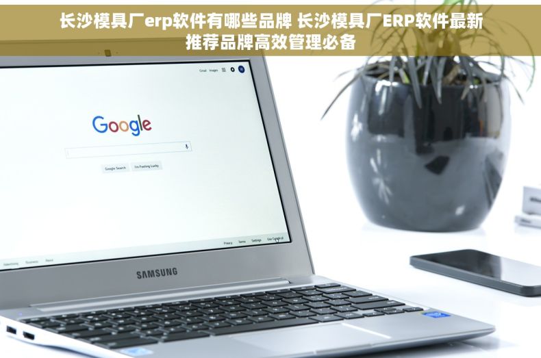 长沙模具厂erp软件有哪些品牌 长沙模具厂ERP软件最新推荐品牌高效管理必备