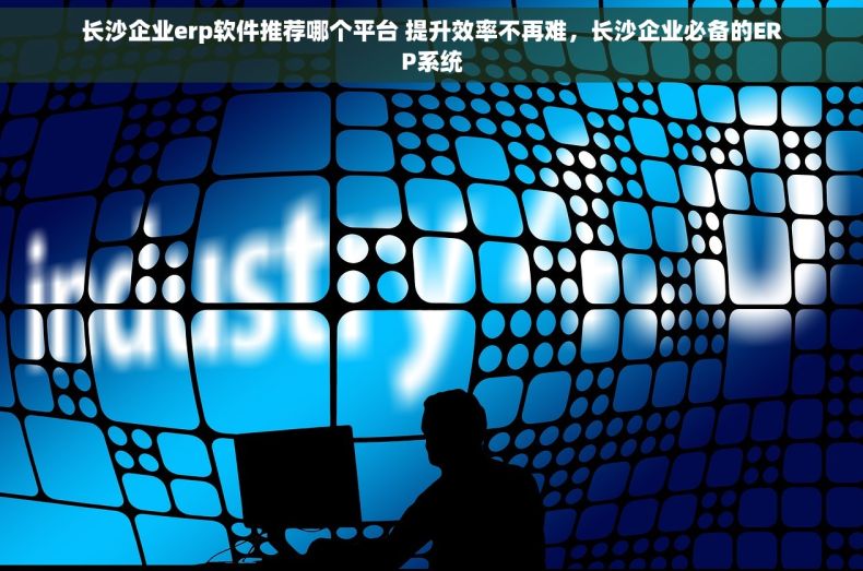 长沙企业erp软件推荐哪个平台 提升效率不再难，长沙企业必备的ERP系统