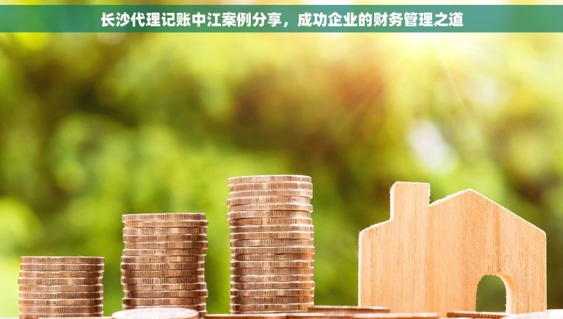 长沙代理记账中江案例分享，成功企业的财务管理之道