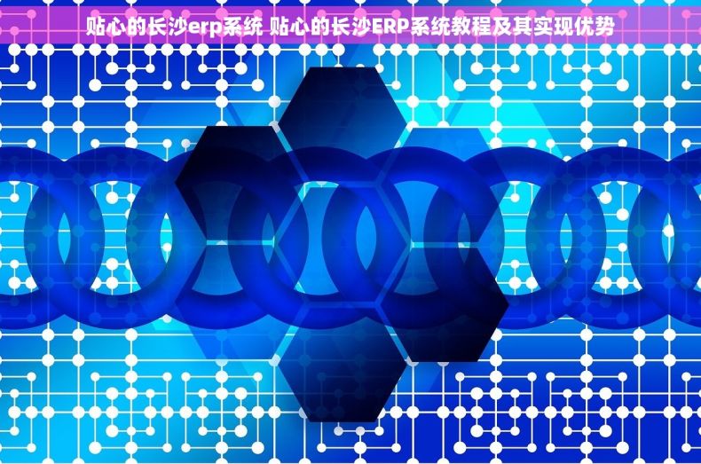 贴心的长沙erp系统 贴心的长沙ERP系统教程及其实现优势
