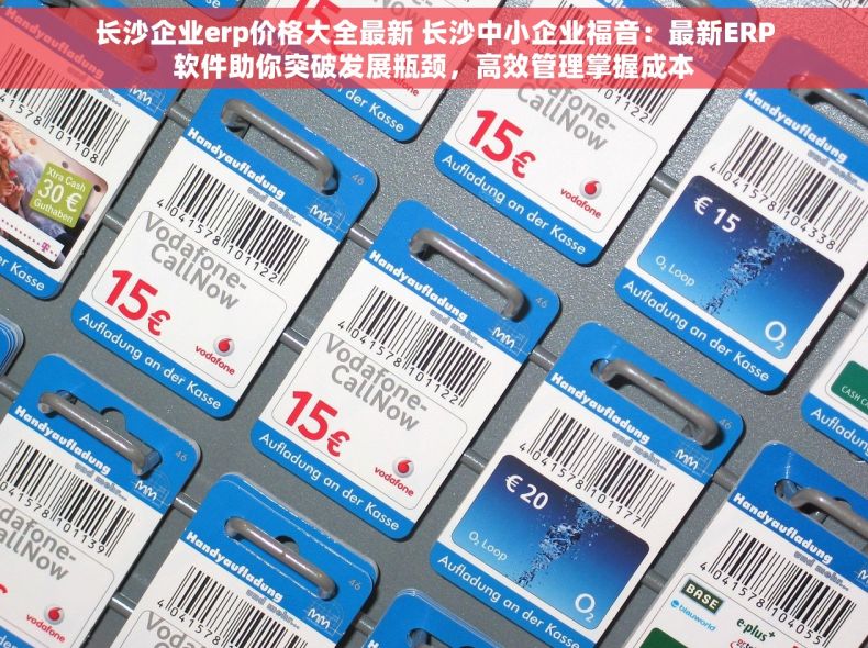 长沙企业erp价格大全最新 长沙中小企业福音：最新ERP软件助你突破发展瓶颈，高效管理掌握成本