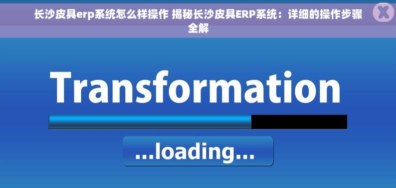 长沙皮具erp系统怎么样操作 揭秘长沙皮具ERP系统：详细的操作步骤全解