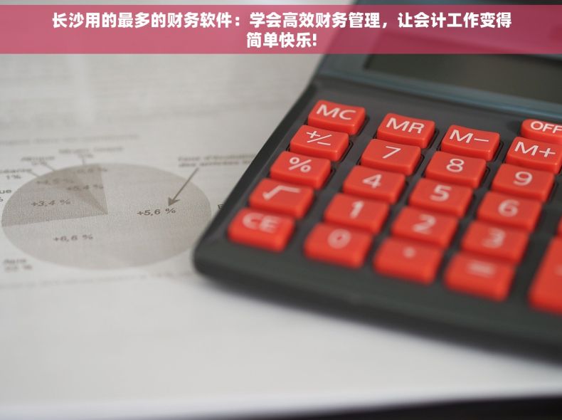 长沙用的最多的财务软件：学会高效财务管理，让会计工作变得简单快乐!
