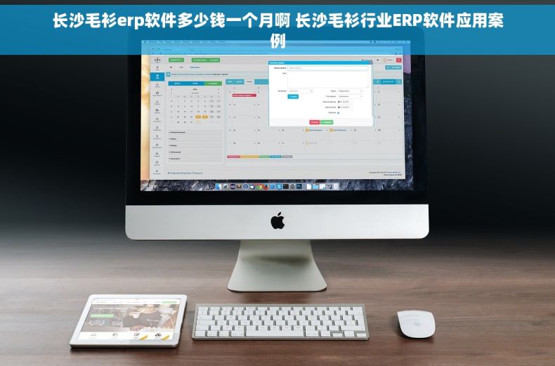 长沙毛衫erp软件多少钱一个月啊 长沙毛衫行业ERP软件应用案例