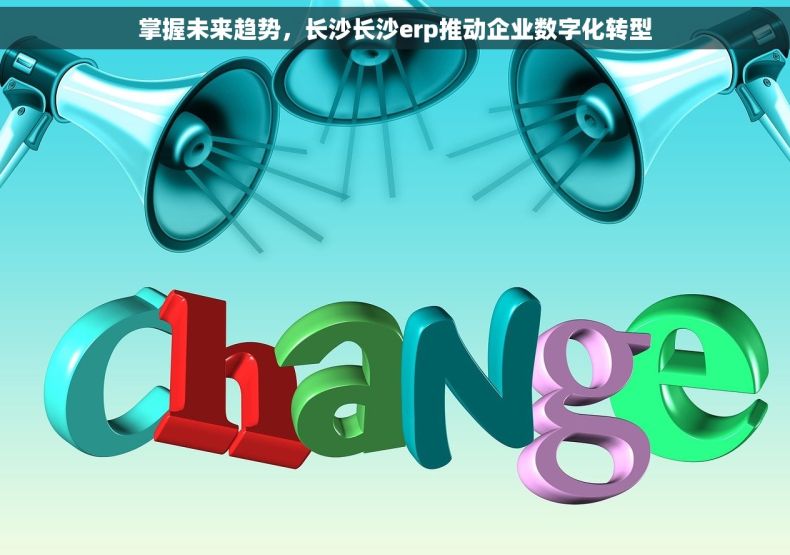 掌握未来趋势，长沙长沙erp推动企业数字化转型