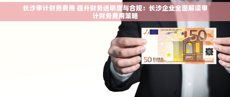 长沙审计财务费用 提升财务透明度与合规：长沙企业全面解读审计财务费用策略