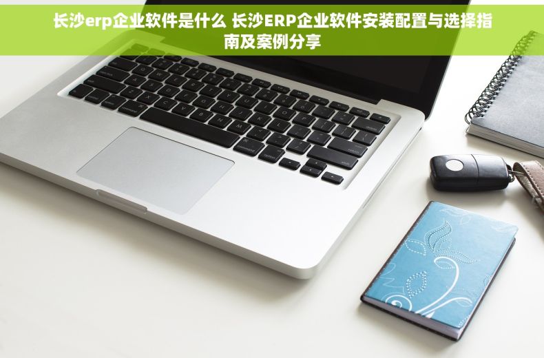 长沙erp企业软件是什么 长沙ERP企业软件安装配置与选择指南及案例分享