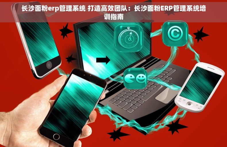 长沙面粉erp管理系统 打造高效团队：长沙面粉ERP管理系统培训指南