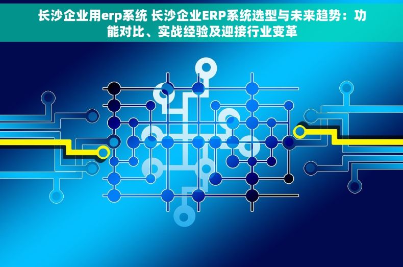 长沙企业用erp系统 长沙企业ERP系统选型与未来趋势：功能对比、实战经验及迎接行业变革